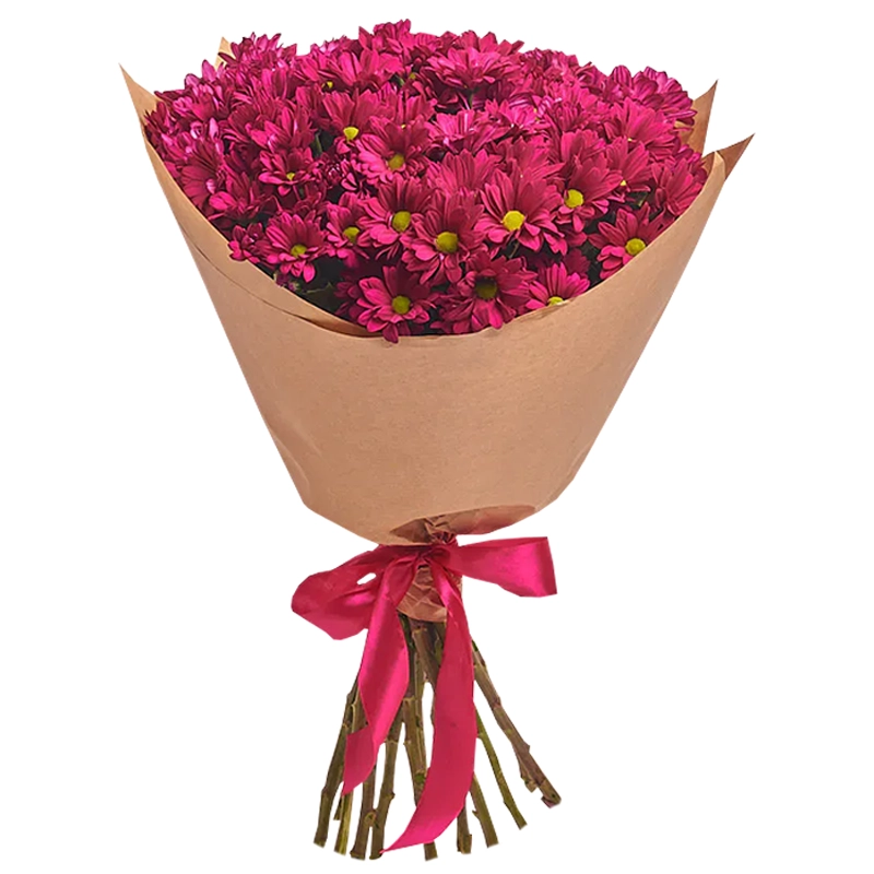 Букет из 15 красных кустовых хризантем